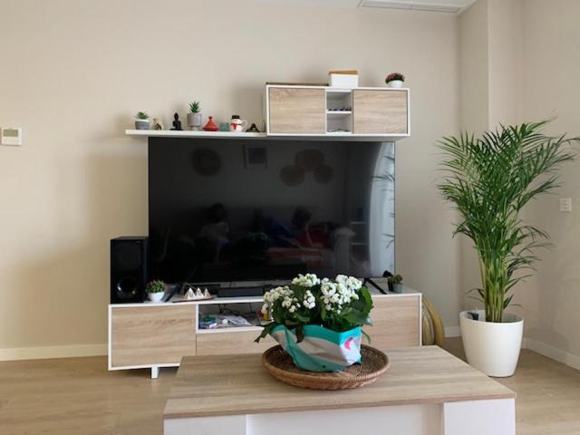 Bajo Con Jardin En Primera Linea De Playa Apartment Málaga